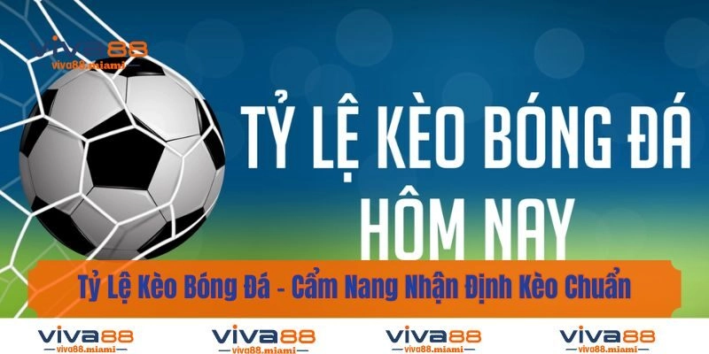Tỷ Lệ Kèo Bóng Đá – Cẩm Nang Nhận Định Kèo Chuẩn Nhất 2025