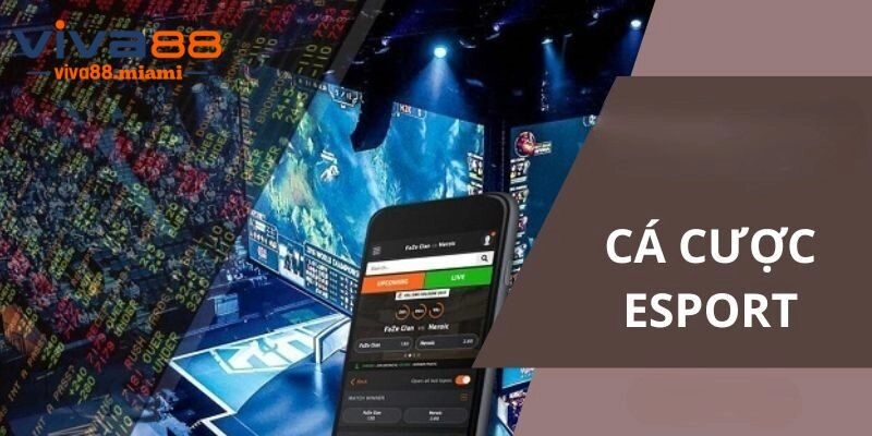Cá Cược Esports – Giải Trí Săn Thưởng Hàng Tỷ Cùng Viva88