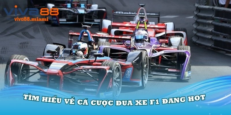 Giới thiệu sơ lược về hình thức cá cược f1